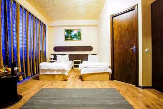 Отель Hotel Charter Otopeni Отопень Двухместный номер с 2 отдельными кроватями-7